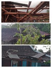 BENCANA ANGIN PUTING BELIUNG  3 PADUKUHAN TAMBRAN KIDUL, KLUWIH DAN KALIALANG